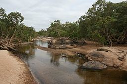 Archer River httpsuploadwikimediaorgwikipediacommonsthu