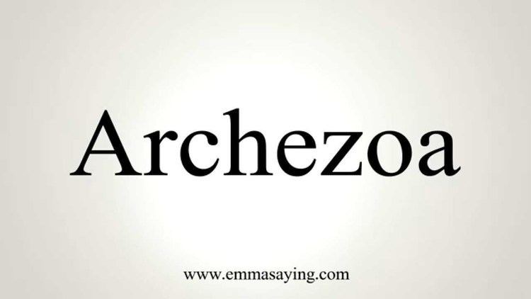 Archezoa How to Pronounce Archezoa YouTube