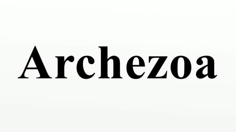 Archezoa Archezoa YouTube