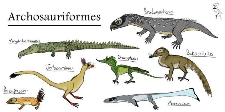 Archosauriformes: Mammalsaurs, Crocs, and Dragons