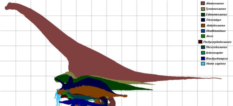 Comparison of the Hell Creek Archosaur Sizes