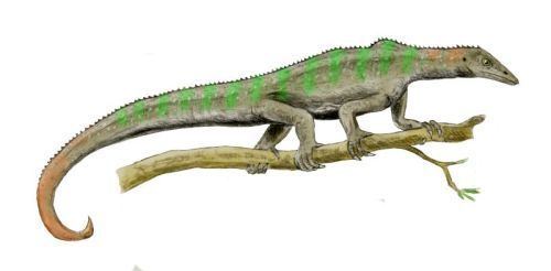 Archosauromorpha Palaeos Vertebrates Archosauromorpha Drepanosauridae