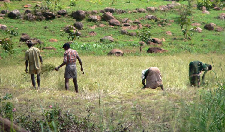 Arcot, Vellore in the past, History of Arcot, Vellore