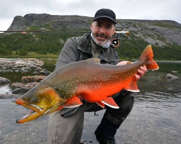 Arctic char Big Fishes of the World ARCTIC CHAR Salvelinus alpinus