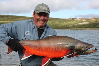 Arctic char Big Fishes of the World ARCTIC CHAR Salvelinus alpinus