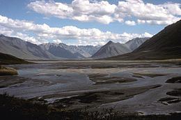 Arctic foothills tundra httpsuploadwikimediaorgwikipediacommonsthu
