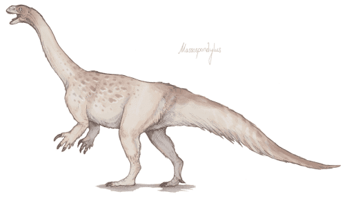 Arcusaurus Massospondylus carinatus M kaalae A Dinosaur A Day