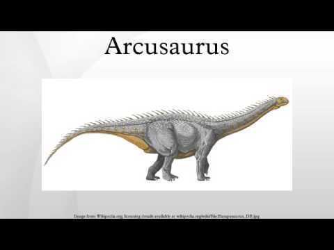 Arcusaurus Arcusaurus YouTube