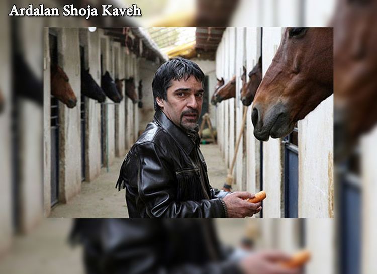 Ardalan Shoja Kaveh Ardalan Shoja Kaveh born 1962 Enjoy tonights movie It Sometimes