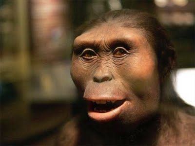 Ardipithecus kadabba Next in the Smithsonia timeline is the Ardipithecus kadabba It was