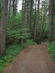 Ards Forest Park httpsuploadwikimediaorgwikipediacommonsthu