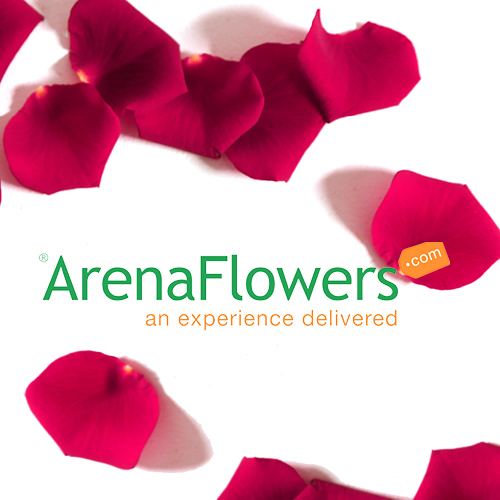 Arena Flowers httpslh4googleusercontentcomhbqsfFXK0z0AAA