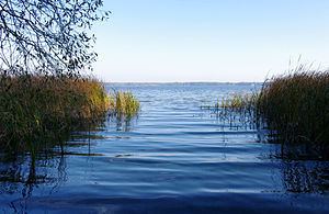 Arendsee (lake) httpsuploadwikimediaorgwikipediacommonsthu