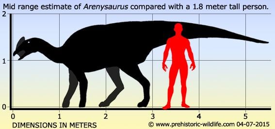 Arenysaurus wwwprehistoricwildlifecomimagesspeciesaaren