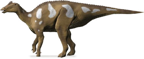 Arenysaurus Arenysaurus ardevoli DinoChecker Dinosaur Gallery