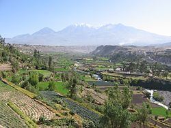 Arequipa Province httpsuploadwikimediaorgwikipediacommonsthu