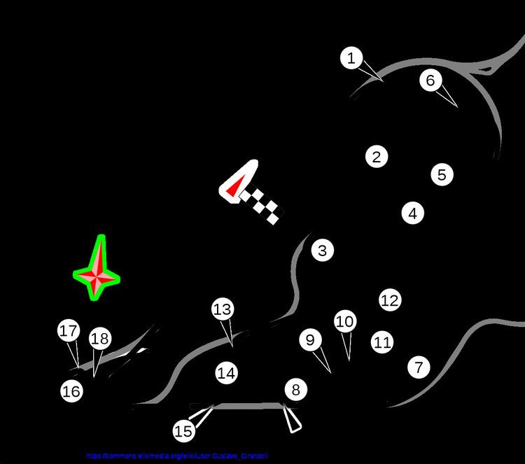 Argentine Grand Prix