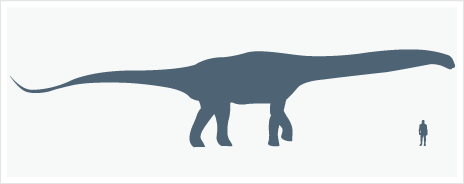 Argentinosaurus BBC Nature Argentinosaurus videos news and facts