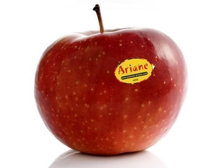 Ariane (apple) Apple Legacy
