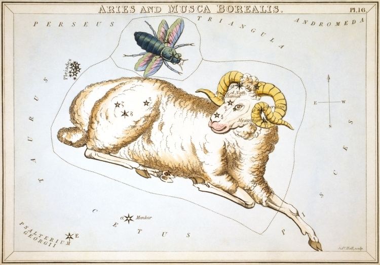 Poster of Aries and Musca Borealis