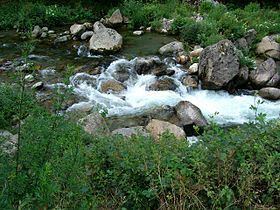 Ariège (river) httpsuploadwikimediaorgwikipediacommonsthu