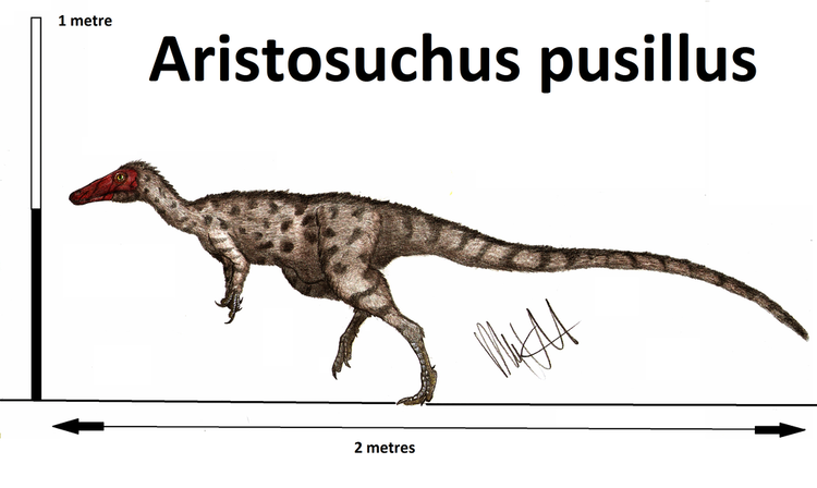 Aristosuchus aristosuchus DeviantArt