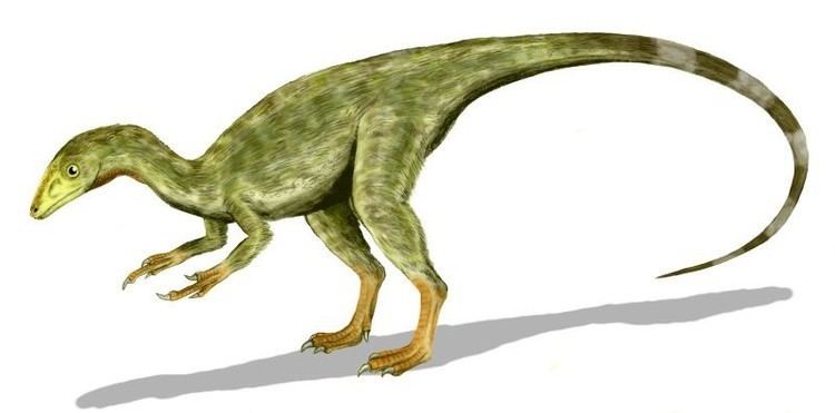 Aristosuchus Aristosuchus Pictures amp Facts The Dinosaur Database