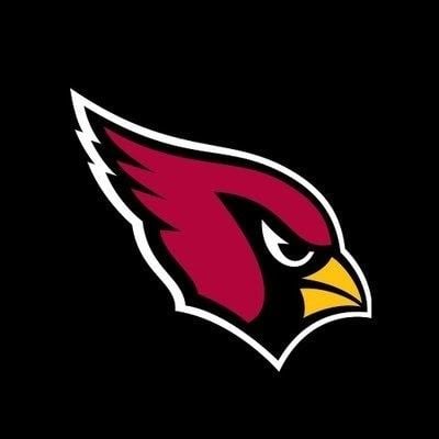 Arizona Cardinals httpslh3googleusercontentcomwqb5gJ8f0vUAAA