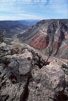 Arizona Strip httpsuploadwikimediaorgwikipediacommonsthu
