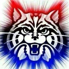 Arizona Wildcats 1000 ideas about Arizona Wildcats on Pinterest The packers Mike