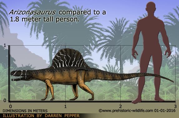 Arizonasaurus Arizonasaurus