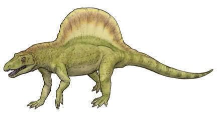 Arizonasaurus Arizonasaurus Fact Dinosaurs Pictures and Facts