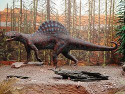 Arizonasaurus httpsuploadwikimediaorgwikipediacommonsthu