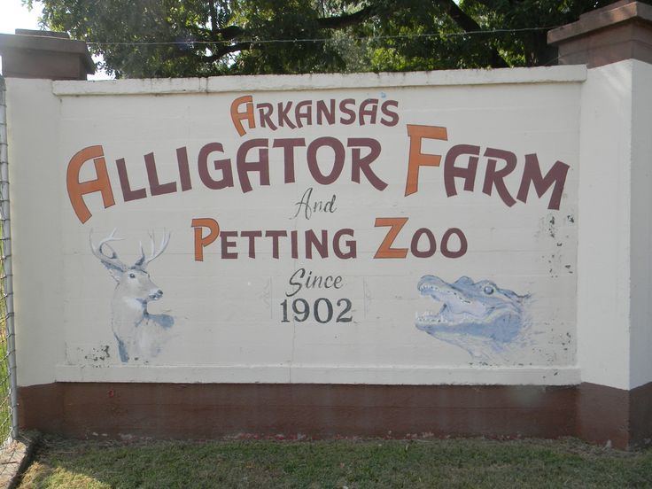 Arkansas Alligator Farm and Petting Zoo httpssmediacacheak0pinimgcom736xb7e6a4