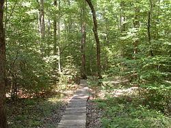 Arkansas Timberlands httpsuploadwikimediaorgwikipediacommonsthu