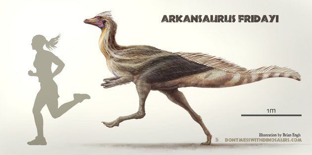 Arkansaurus ARKANSAURUS As dinosaur bill advances UA grad makes case for