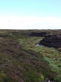 Arkengarthdale Gunnerside and Reeth Moors httpsuploadwikimediaorgwikipediacommonsthu