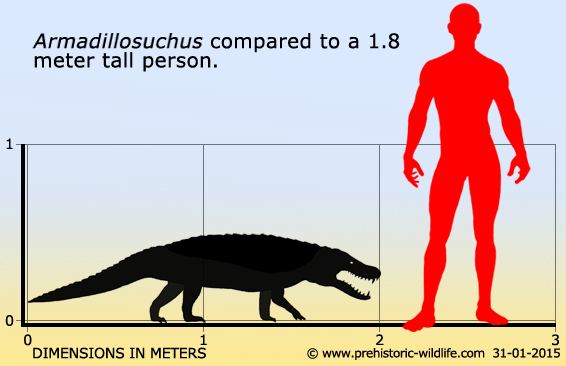 Armadillosuchus Armadillosuchus