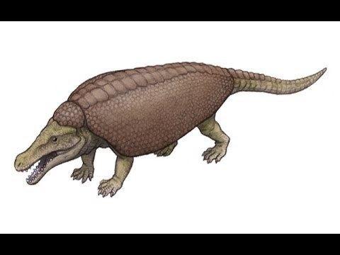 Armadillosuchus Paleo Profile Armadillosuchus YouTube