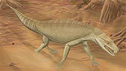 Armadillosuchus httpsuploadwikimediaorgwikipediacommonsthu