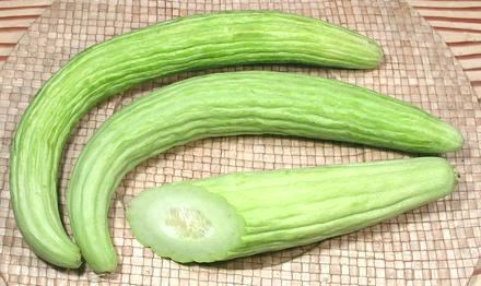 Armenian cucumber Armenian