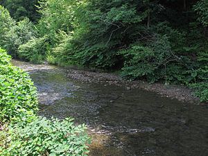 Armstrong Creek (West Virginia) httpsuploadwikimediaorgwikipediacommonsthu