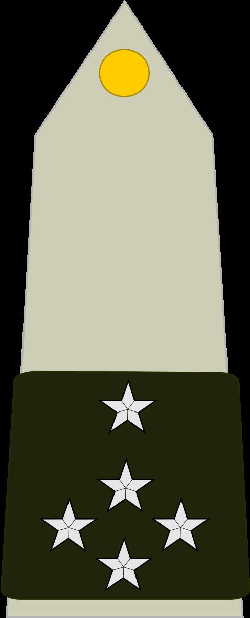Army general