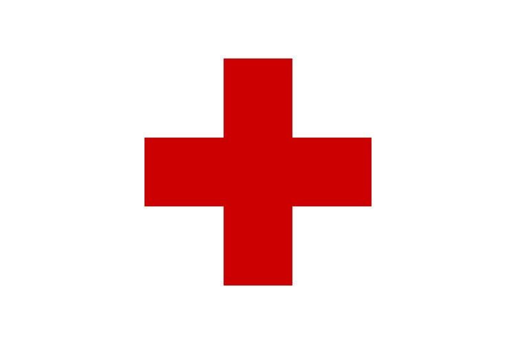 Army Medical Service (Germany)