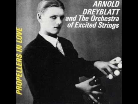 Arnold Dreyblatt ARNOLD DREYBLATT amp The Orchestra of Excited Strings