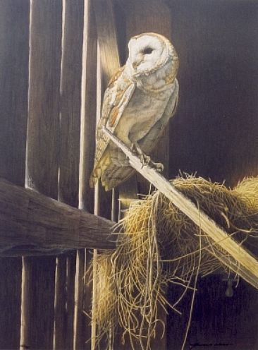 Arnold Nogy Barn Owl Painting Art by Arnold Nogy