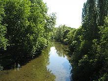 Arnon (river) httpsuploadwikimediaorgwikipediacommonsthu