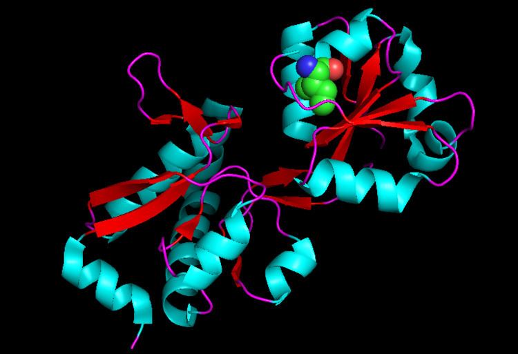 Arogenate dehydratase - Alchetron, The Free Social Encyclopedia