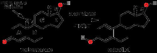 Aromatase httpsuploadwikimediaorgwikipediacommonsthu