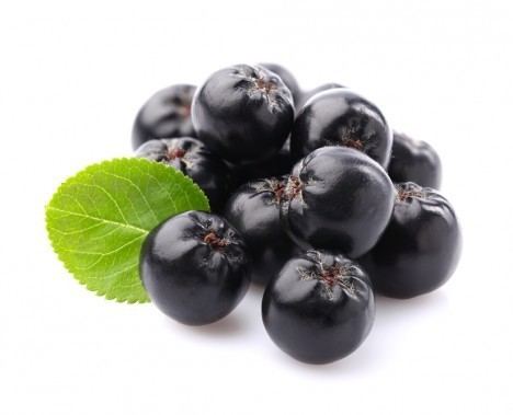 Aronia enfruitofoodcomclientcacheproduit468a